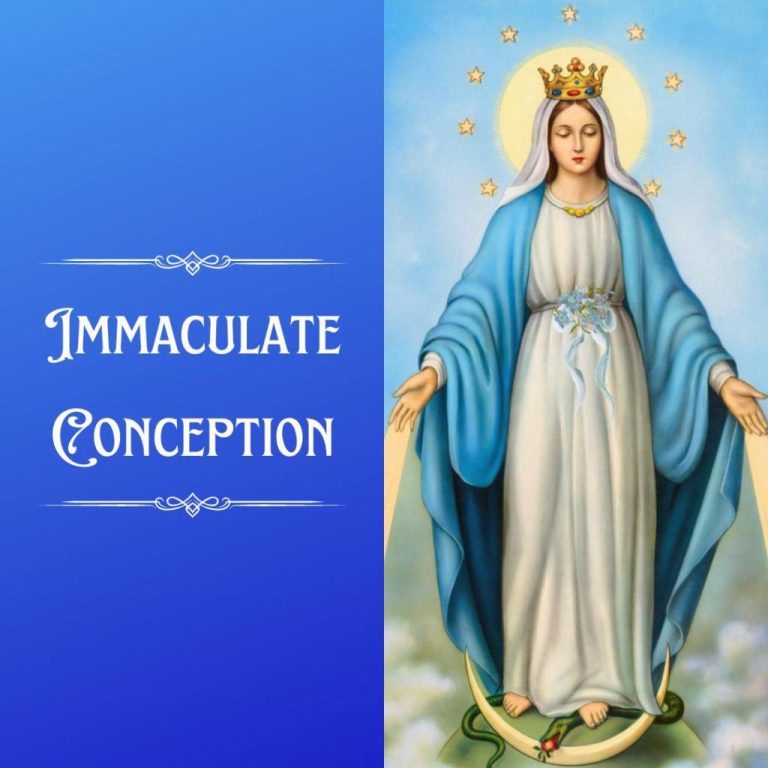 Feast of the Immaculate Conception Birr Parish