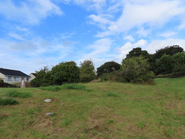 Heritage Week August 24th - Guided walk of Bully's Acre Graveyard Gallows Hill with Stephen Callaghan